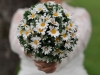 Romantische Hochzeitsfotos in Wiesenthau | der Hochzeitsfotograf Wiesenthau