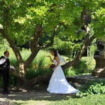 Der Hochzeitsfotograf im Parks - Parkcafé in Nürnberg
