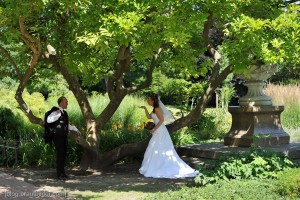 Der Hochzeitsfotograf im Parks - Parkcafé in Nürnberg