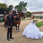 Hochzeitspaar streichelt Pferde der Märchen-Kutsche Foto von: DER Hochzeitsfotograf, Hochzeit